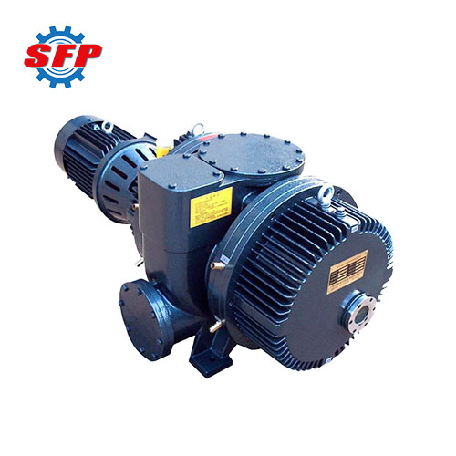 Roots Vacuum Pump Supplier